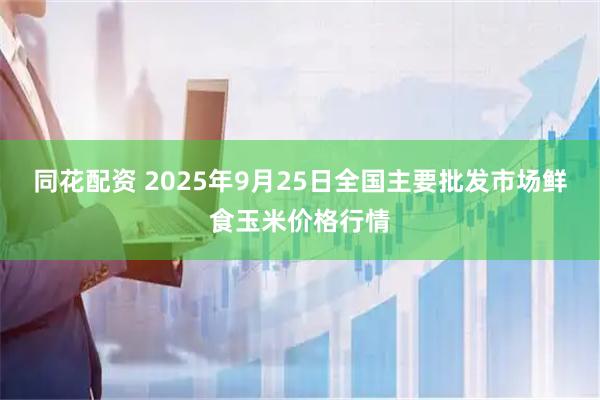 同花配资 2025年9月25日全国主要批发市场鲜食玉米价格行情