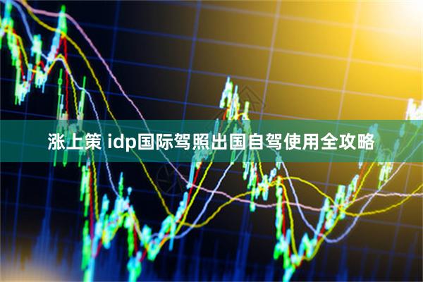 涨上策 idp国际驾照出国自驾使用全攻略